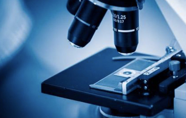 生物科技開發(fā)